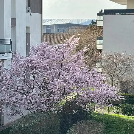 Apartment Le Gambetta T3 15 Min A Pied Groupama Stadium Et Ldlc Arena Meyzieu