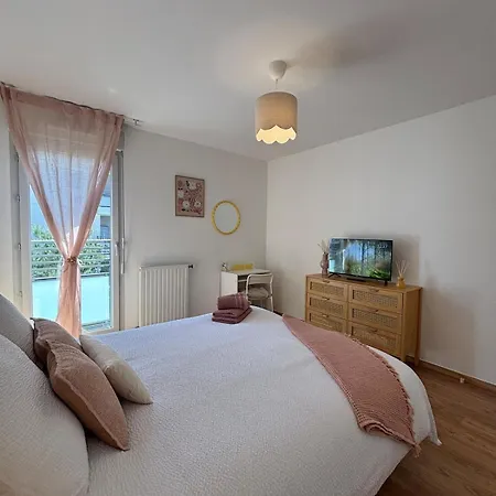 Le Gambetta T3 15 Min A Pied Groupama Stadium Et Ldlc Arena Apartment